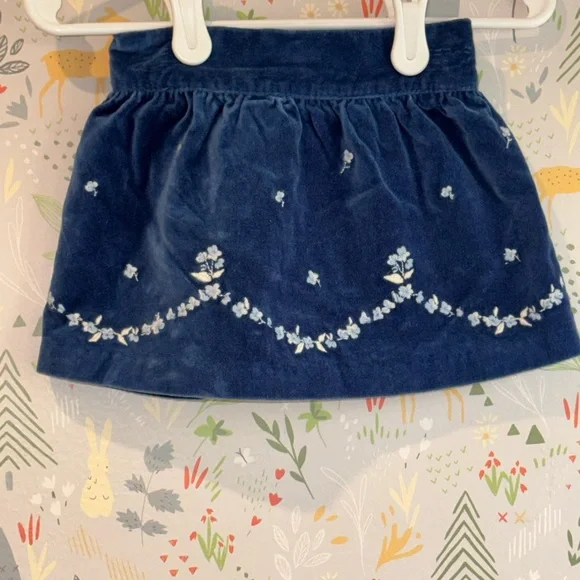 Blue Velvet Janie and Jack Skirt Baby Blue Floral Embroidery 3-6 Mo Hanukkah - Picture 11 of 13